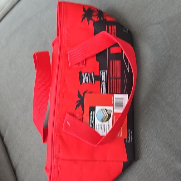 Trader Joe's Insulated Mini Tote - Picture 3 of 3